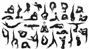 Corso di Hatha Yoga al san Martino