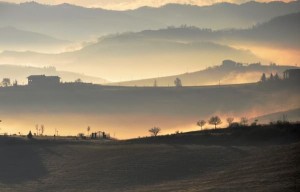 Il bello fa bene