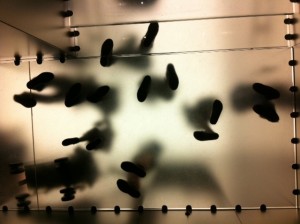 Esperienza Apple allo store di Bologna