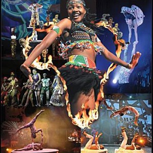 MOther Africa– Circus of the senses