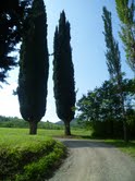 Domenica in cammino per la Petroniana