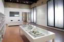 Il Museo Morandi va al Mambo