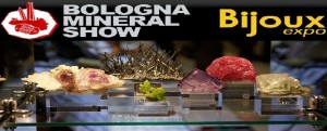 bologna_mineral_show