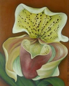 Incontri Spazio Romanò