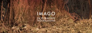 Arti sonore e visive a Imago Festival