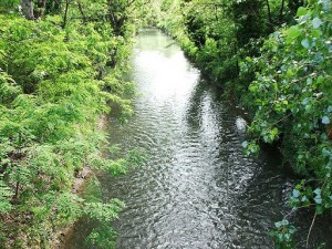 CanaleNavile2