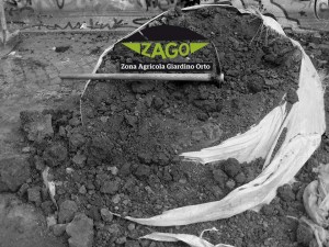 Verso il Quartiere ed Oltre… gli appuntamenti di Zago, b.u.c.o. & Co.