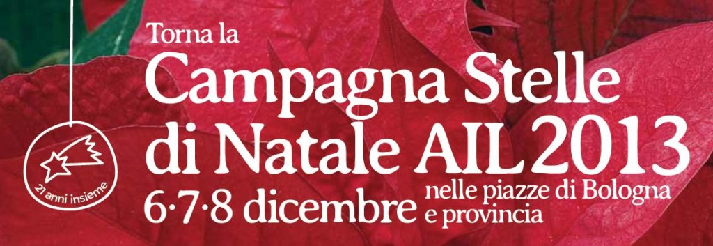 Alla Ricerca Della Stella Di Natale Trama