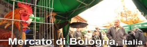 bologna_ita