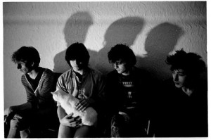 The+Chameleons+chameleonss