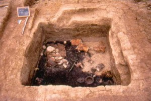 bologna da vivere eventi