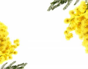 Verso l’8 marzo a Bologna: gli eventi nei quartieri