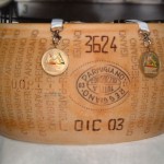 parmigiano fior di latte