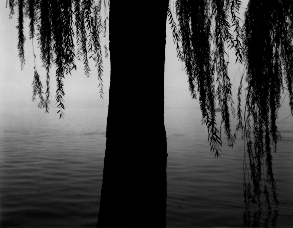 Christopher Taylor hangzhou 1