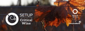 SetUp Critical Wine