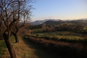 Autunno in Dulcamara: il programma