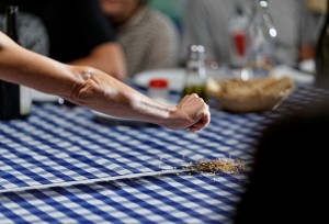 Programma Tutto quello che... ph Roberto Cerè