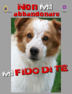 Non mi abbandonare, mi fido di te…