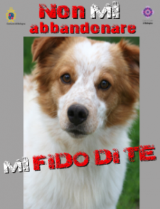 Non mi abbandonare. Mi fido di te. La campagna 2017