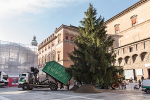 E’ arrivato l’albero di Natale in piazza Nettuno