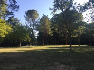 Il ponte del 1 maggio a Bologna e dintorni