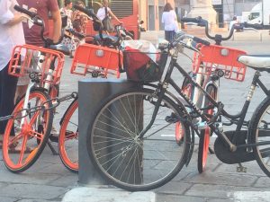 Bologna Rocks: il percorso in bici alla scoperta di Bologna, Città della Musica