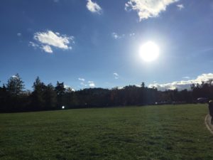 Immagine di repertorio - Giardini Margherita