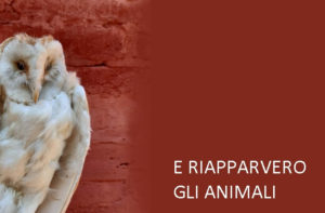 E RIAPPARVERO GLI ANIMALI al Teatro delle Ariette