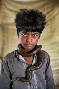 ANIMALS: STEVE McCURRY a ottobre a Bologna