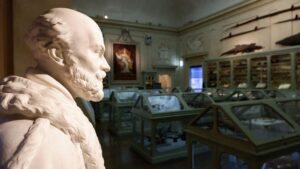 Aldrovandi piace al pubblico: prorogata fino al 28 maggio la mostra “L’altro Rinascimento” al Museo di Palazzo Poggi