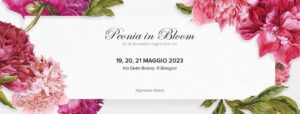 Peonia in Bloom. Anteprima