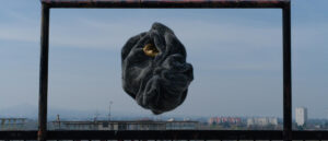 INSURREZIONI DELLO SGUARDO