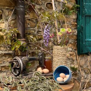 Fattoria Zivieri in festa!