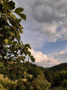 TERRITORI DA CUCIRE 2025, UN VANGELO