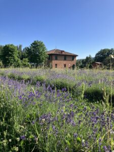 ULTIMO WEEKEND DELLA TAPPA BOLOGNA DI IT.A.CÀ