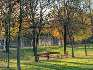 SI GIRA! arriva alla Lunetta Gamberini